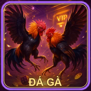 Đá Gà Trực Tiếp Nohu52