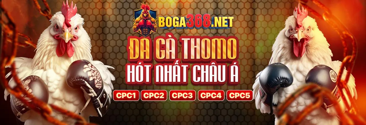 Tin Thể Thao 88 kèo nhà cái