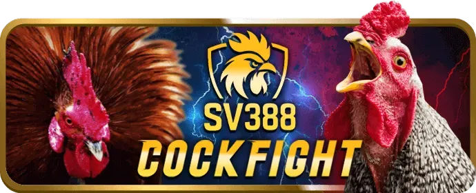 Cá cược bóng rổ Nohu52